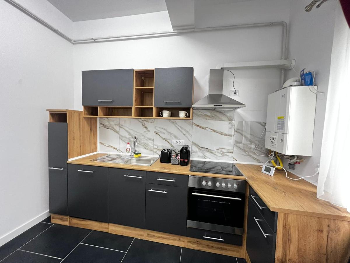 Luxury Cozy Apartments - City Center Suceava Buitenkant foto