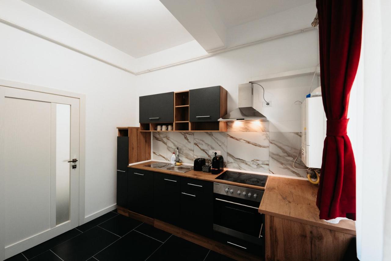Luxury Cozy Apartments - City Center Suceava Buitenkant foto