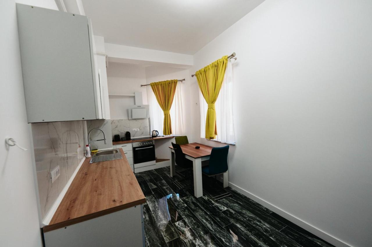 Luxury Cozy Apartments - City Center Suceava Buitenkant foto